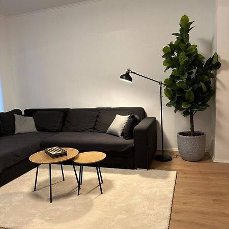 Ferienwohnung Haus Paraschiv Aue  Eksteriør billede