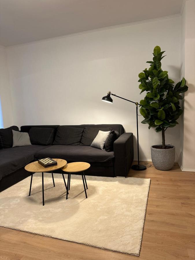 Ferienwohnung Haus Paraschiv Aue  Eksteriør billede
