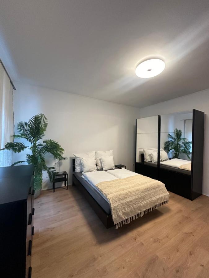 Ferienwohnung Haus Paraschiv Aue  Eksteriør billede
